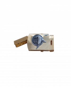 Boucle de ceinture EA